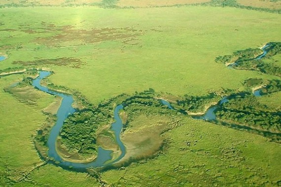 New National Park in Argentina: The Impenetrable Chaco