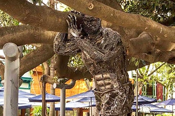 Strongest man supports oldest tree Buenos Aires