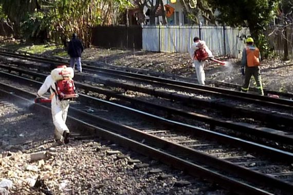 Bill Passed in Buenos Aires Prevents Agrochemical Use in the City