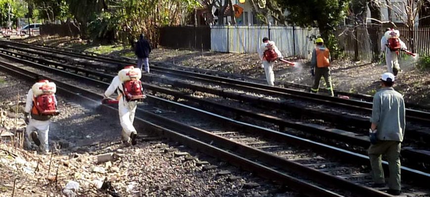 Bill Passed in Buenos Aires Prevents Agrochemical Use in the City