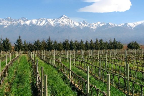 Uruguayan Wine Fair Comes to Buenos Aires