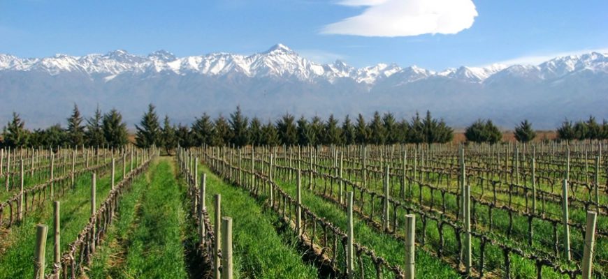 Uruguayan Wine Fair Comes to Buenos Aires