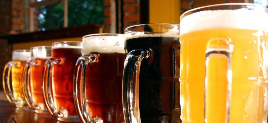 Universities in Argentina Introduce Gluten Free Beer