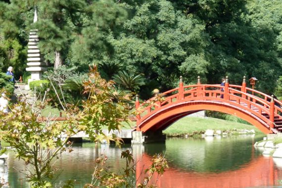 Famed Buenos Aires Japanese Garden to Celebrate Anniversary